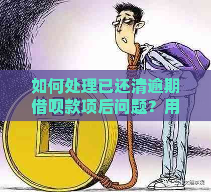 如何处理已还清逾期借呗款项后问题？用户常见问题解答