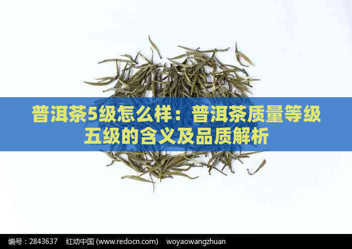 普洱茶5级怎么样：普洱茶质量等级五级的含义及品质解析