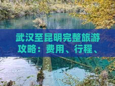 武汉至昆明完整旅游攻略：费用、行程、住宿及景点一览