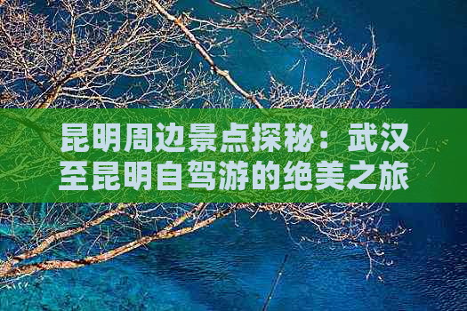 昆明周边景点探秘：武汉至昆明自驾游的绝美之旅