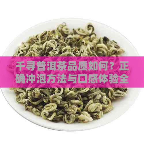 千寻普洱茶品质如何？正确冲泡方法与口感体验全方位解析