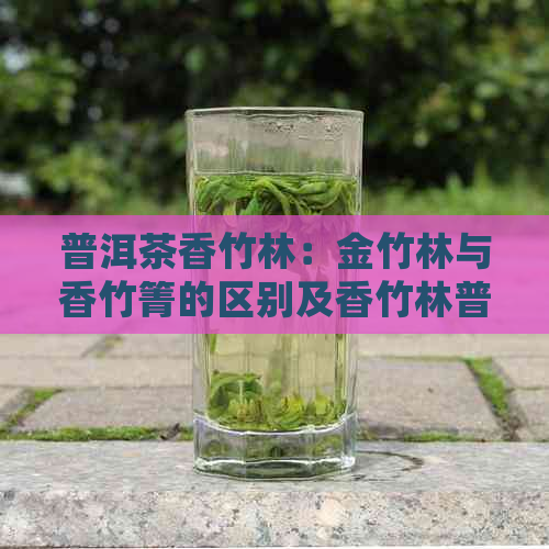 普洱茶香竹林：金竹林与香竹箐的区别及香竹林普洱茶特点，生茶品尝指南。