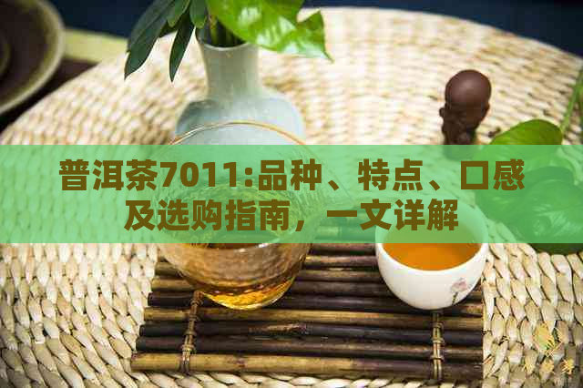 普洱茶7011:品种、特点、口感及选购指南，一文详解