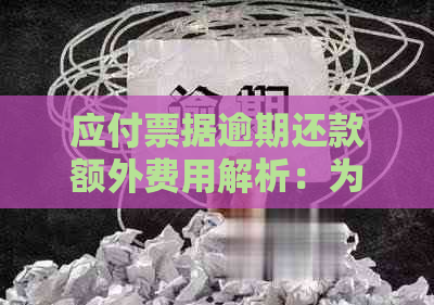 应付票据逾期还款额外费用解析：为什么需要支付更多利息及手续费？