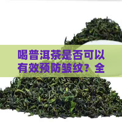 喝普洱茶是否可以有效预防皱纹？全面解析普洱茶与抗衰老的关系