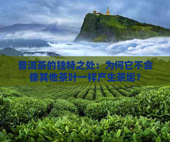 普洱茶的独特之处：为何它不会像其他茶叶一样产生茶垢？