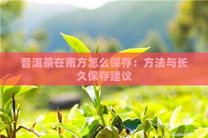 普洱茶在南方怎么保存：方法与长久保存建议