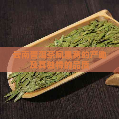 云南普洱茶凤凰窝的产地及其独特的品质