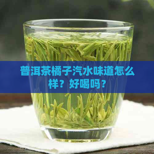 普洱茶橘子汽水味道怎么样？好喝吗？