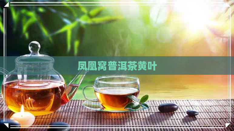 凤凰窝普洱茶黄叶