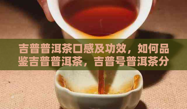 吉普普洱茶口感及功效，如何品鉴吉普普洱茶，吉普号普洱茶分类等级解析