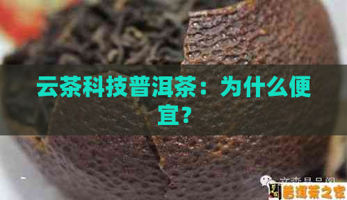 云茶科技普洱茶：为什么便宜？