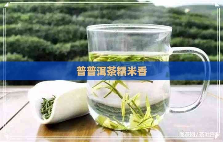 普普洱茶糯米香