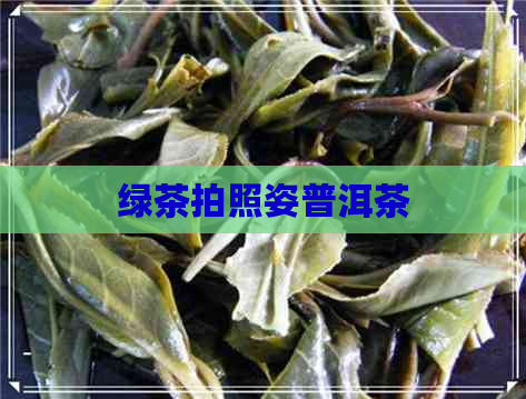 绿茶拍照姿普洱茶