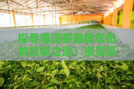 探寻普洱茶巅峰年份的珍稀之选：资深茶友必知的历佳品