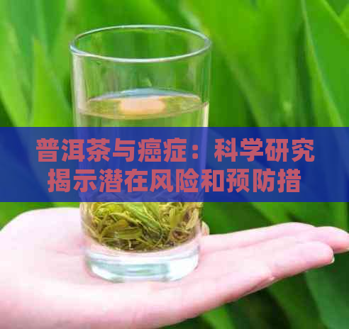 普洱茶与癌症：科学研究揭示潜在风险和预防措