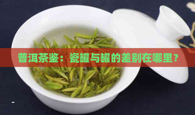 普洱茶鉴：瓷罐与罐的差别在哪里？