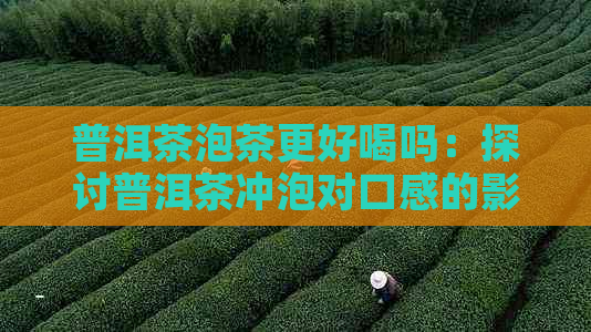 普洱茶泡茶更好喝吗：探讨普洱茶冲泡对口感的影响