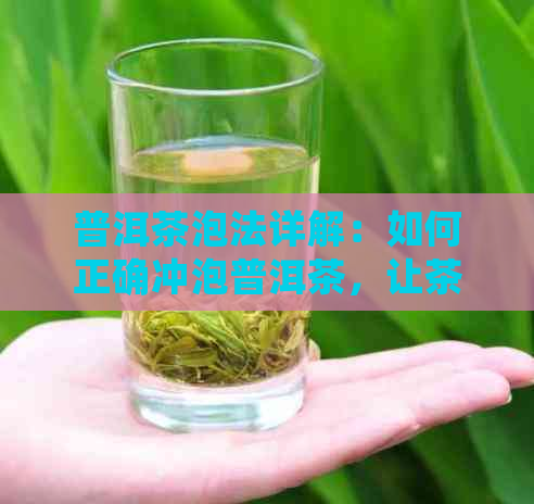 普洱茶泡法详解：如何正确冲泡普洱茶，让茶水味道更佳