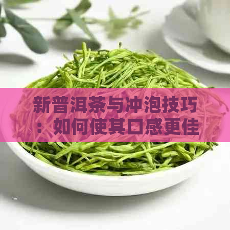 新普洱茶与冲泡技巧：如何使其口感更佳？为什么有些茶叶更好泡？