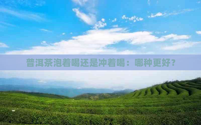 普洱茶泡着喝还是冲着喝：哪种更好？