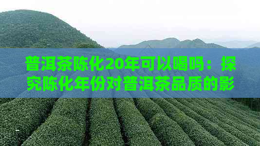 普洱茶陈化20年可以喝吗：探究陈化年份对普洱茶品质的影响