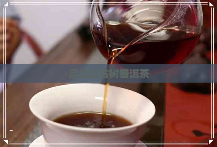 品江山古树普洱茶