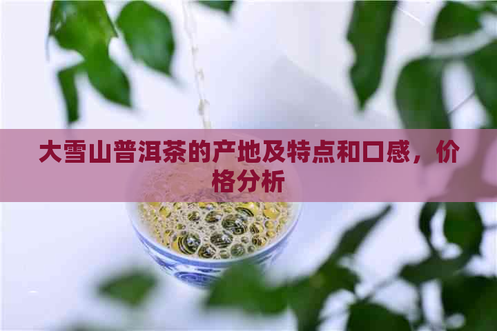 大雪山普洱茶的产地及特点和口感，价格分析