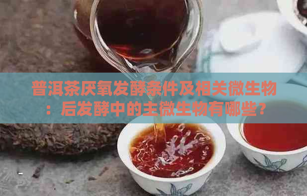 普洱茶厌氧发酵条件及相关微生物：后发酵中的主微生物有哪些？