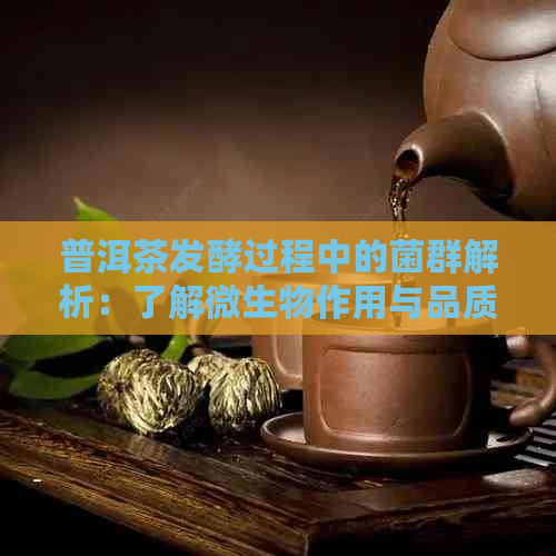 普洱茶发酵过程中的菌群解析：了解微生物作用与品质影响