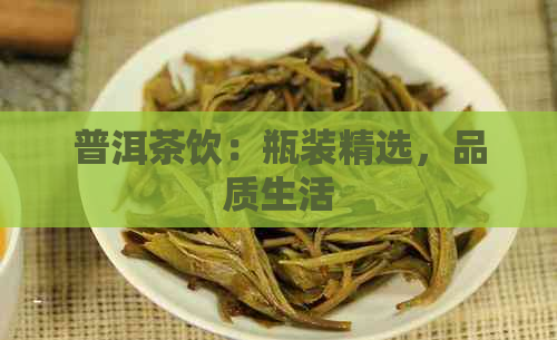 普洱茶饮：瓶装精选，品质生活