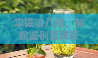 掌握这八招，轻松鉴别普洱茶的品质与真伪