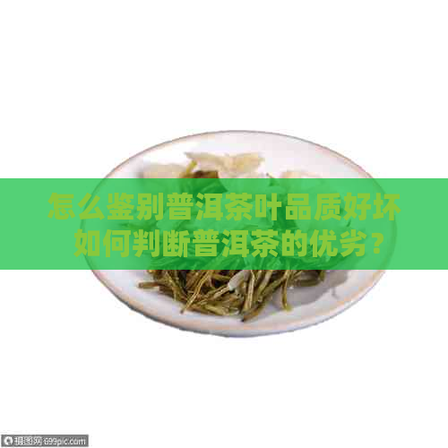 怎么鉴别普洱茶叶品质好坏 如何判断普洱茶的优劣？