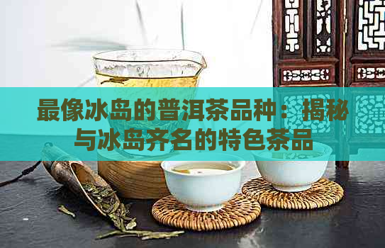 最像冰岛的普洱茶品种：揭秘与冰岛齐名的特色茶品