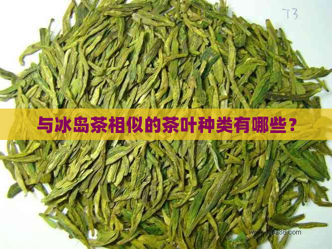 与冰岛茶相似的茶叶种类有哪些？