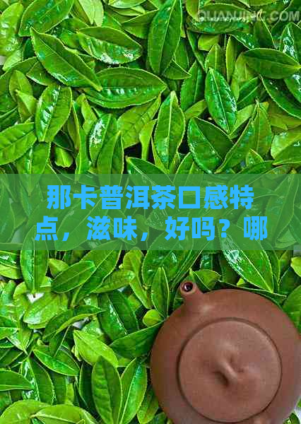 那卡普洱茶口感特点，滋味，好吗？哪个好？价格多少钱？