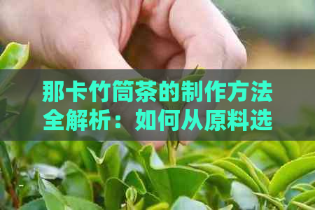 那卡竹筒茶的制作方法全解析：如何从原料选择到烹饪技巧一网打尽