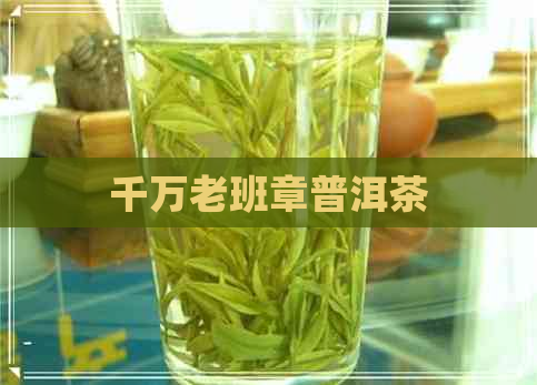 千万老班章普洱茶