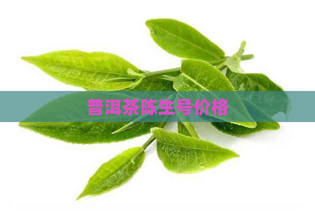 普洱茶陈生号价格