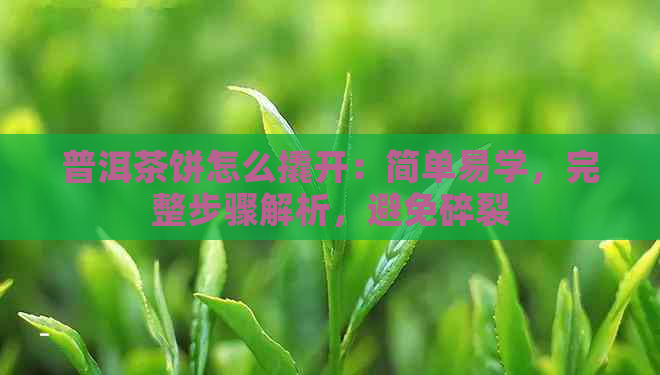 普洱茶饼怎么撬开：简单易学，完整步骤解析，避免碎裂