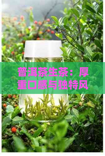 普洱茶生茶：厚重口感与独特风味的完美融合