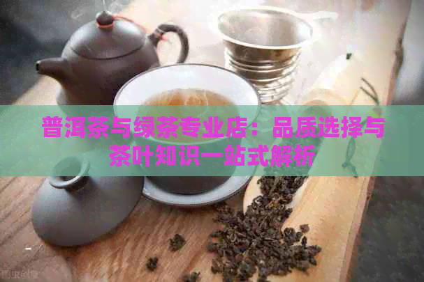 普洱茶与绿茶专业店：品质选择与茶叶知识一站式解析