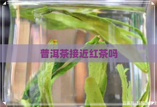 普洱茶接近红茶吗