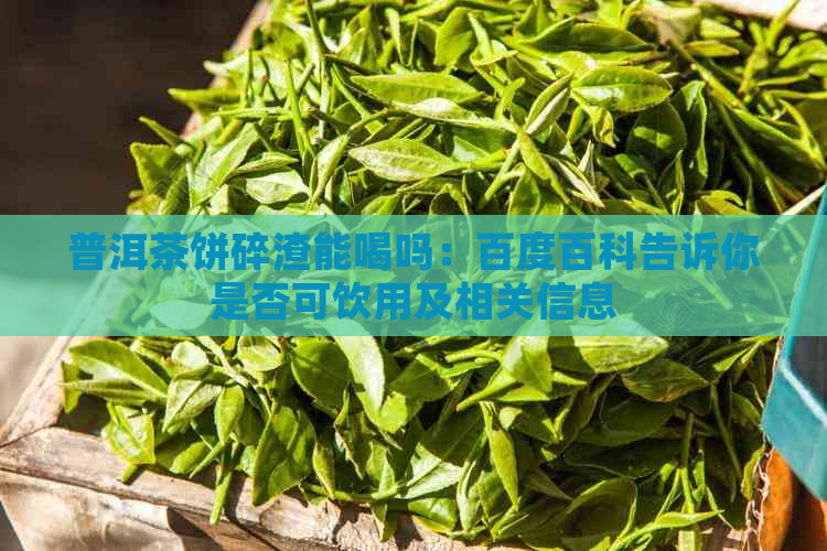 普洱茶饼碎渣能喝吗：百度百科告诉你是否可饮用及相关信息