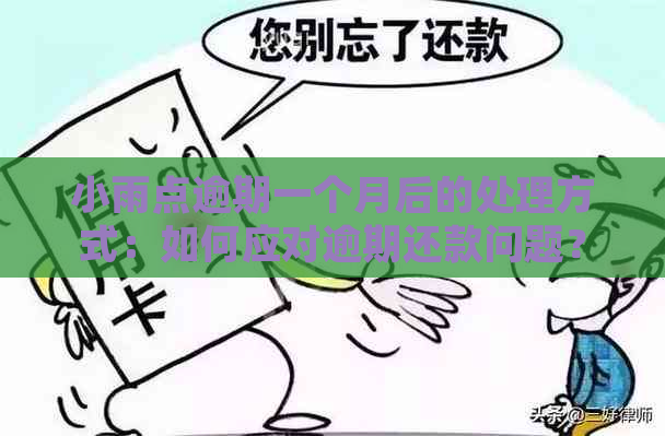 小雨点逾期一个月后的处理方式：如何应对逾期还款问题？