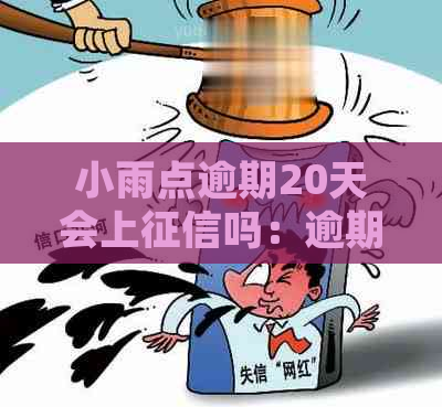 小雨点逾期20天会上吗：逾期影响及处理方式全解析