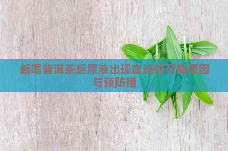 新喝普洱茶后尿液出现血迹的可能原因与预防措