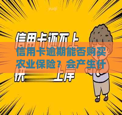 信用卡逾期能否购买农业保险？会产生什么影响？