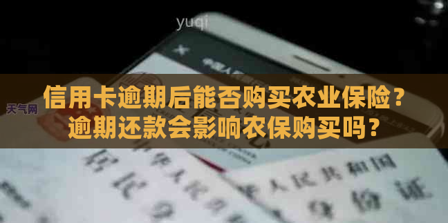 信用卡逾期后能否购买农业保险？逾期还款会影响农保购买吗？