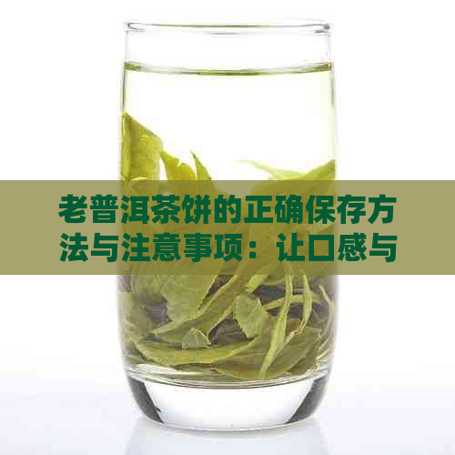 老普洱茶饼的正确保存方法与注意事项：让口感与香气保持在状态